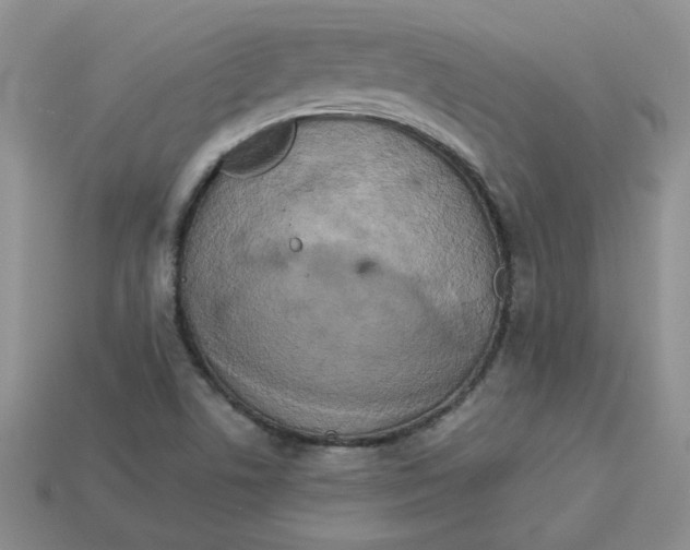 X0000113921506200910151428
