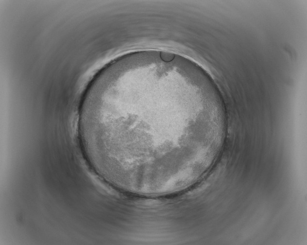 X0000113921507200910151428