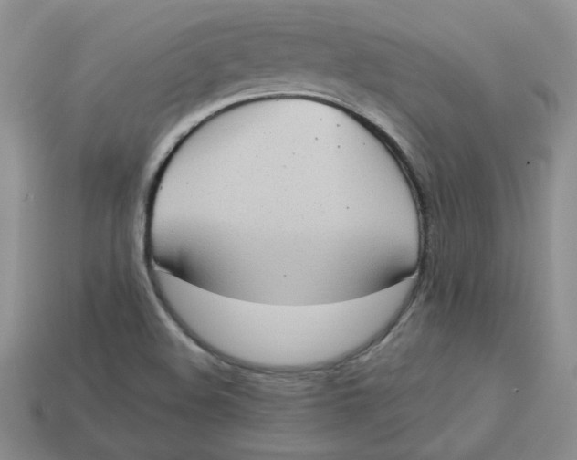 X0000113921508200910151428