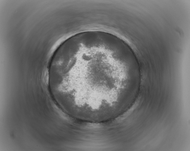 X0000113921509200910151428