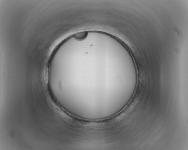 X0000113921510200910151428