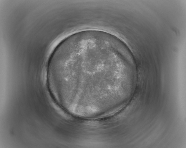 X0000113921511200910151428