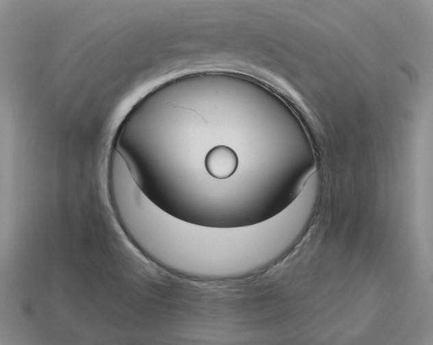 X0000113921512200910151428
