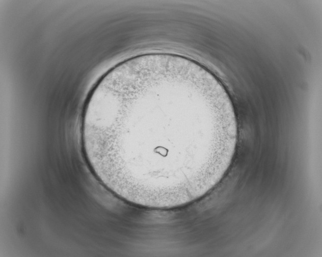 X0000113921514200910151428