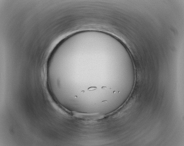 X0000113921515200910151428