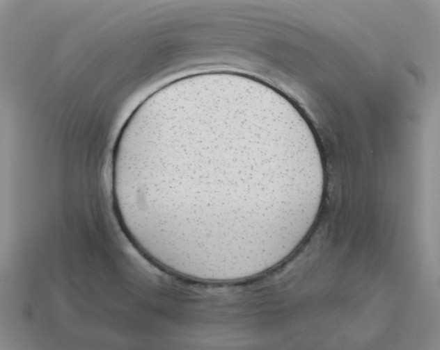 X0000113921516200910151428