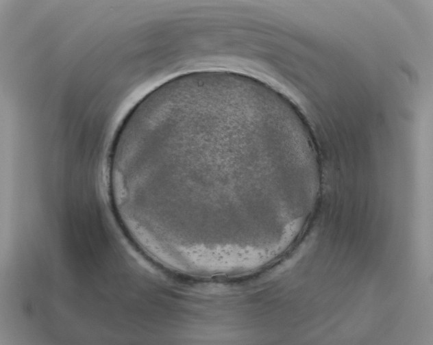 X0000113921517200910151428