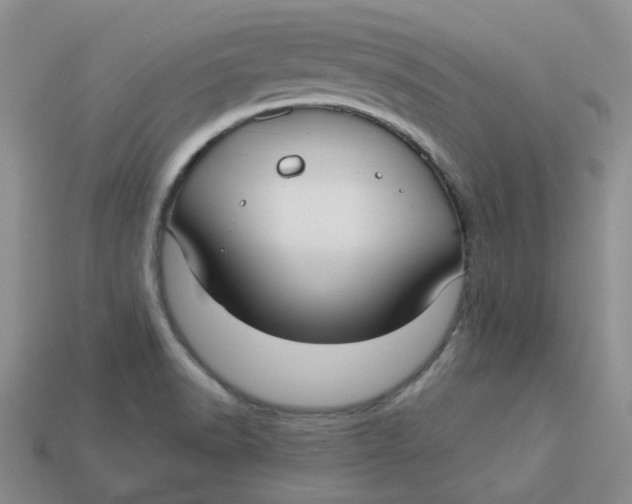 X0000113921518200910151428