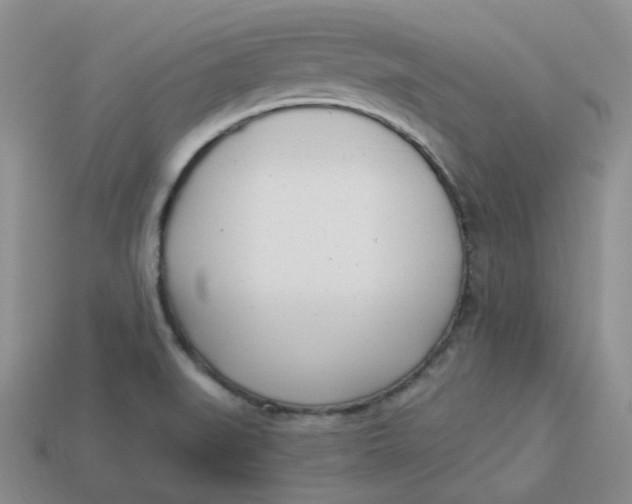 X0000113921519200910151428