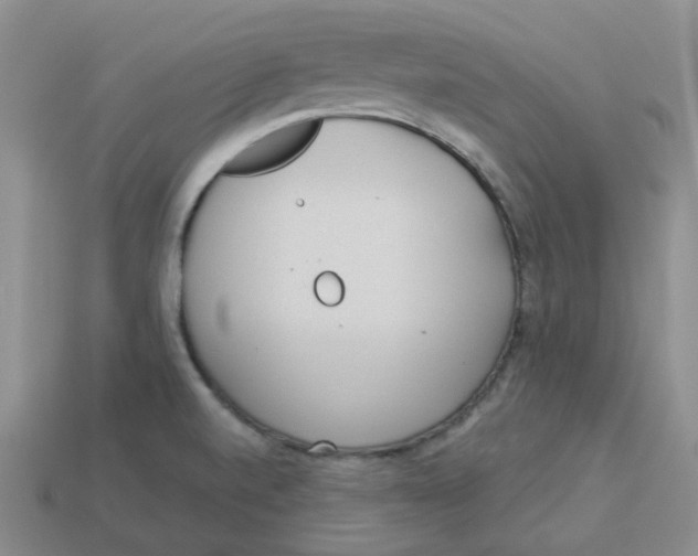 X0000113921520200910151428