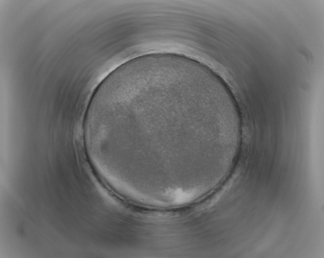 X0000113921521200910151428