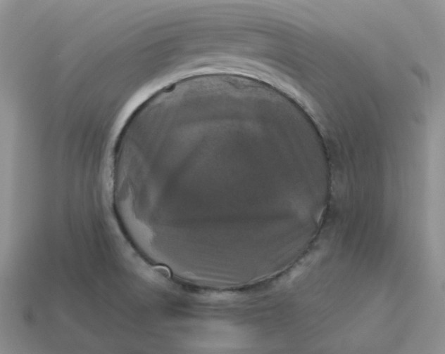 X0000113921522200910151428
