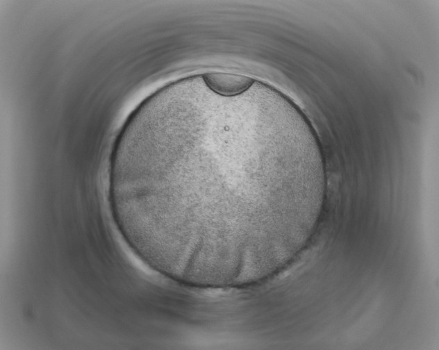 X0000113921523200910151428