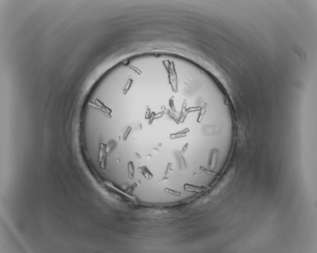 X0000113921525200910151428