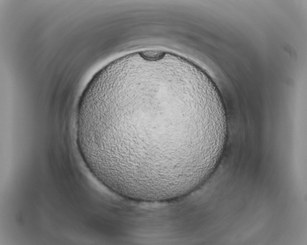 X0000113921526200910151428