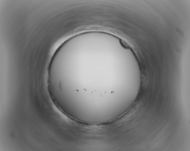 X0000113921527200910151428