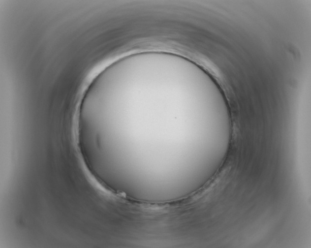 X0000113921528200910151428