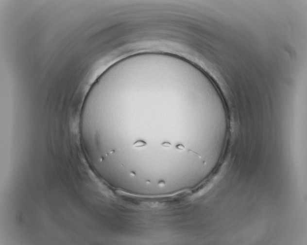 X0000113921529200910151428