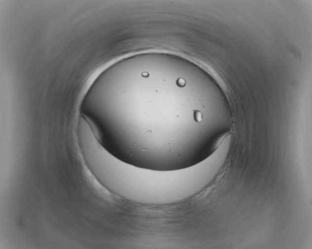 X0000113921532200910151428
