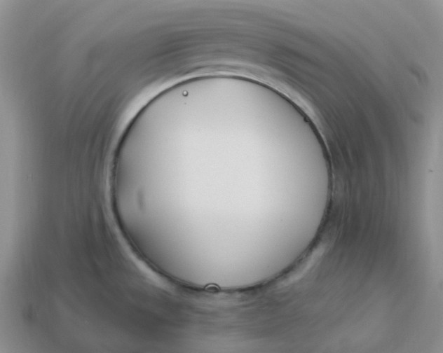 X0000113921533200910151428