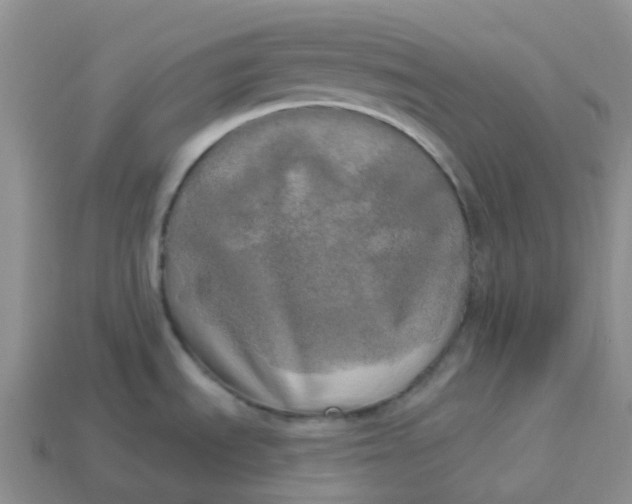 X0000113921535200910151428