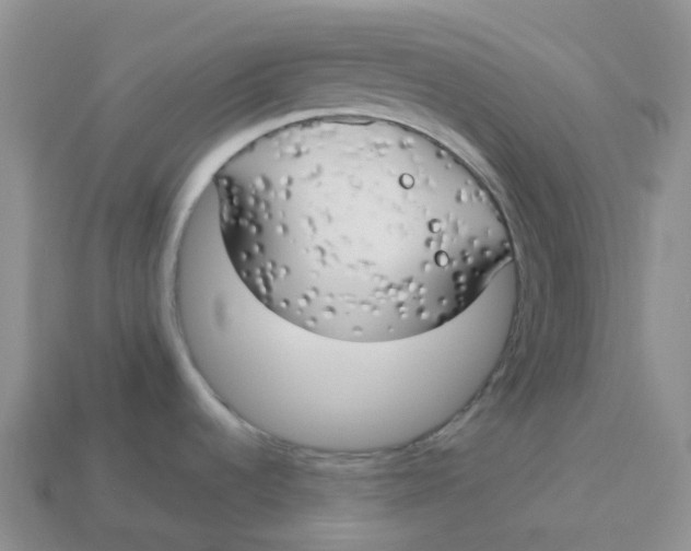 X0000113921536200910151428