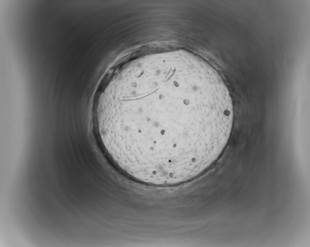 X0000113920002200910221403