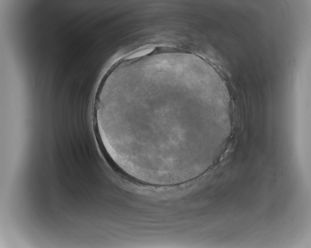 X0000113920003200910221403