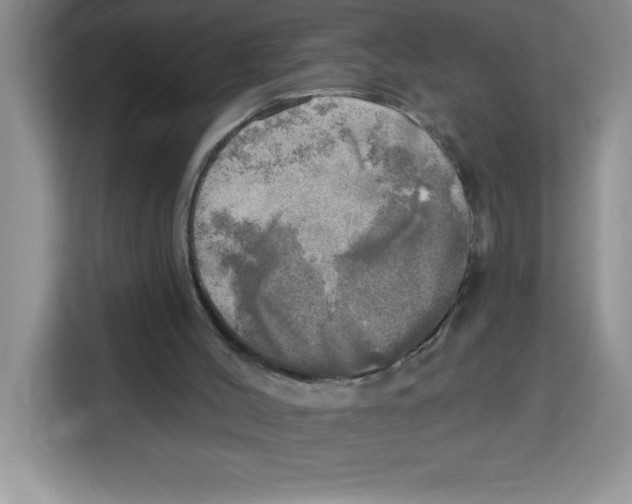 X0000113920004200910221403