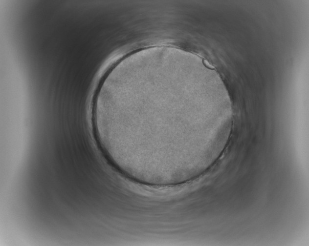 X0000113920006200910221403