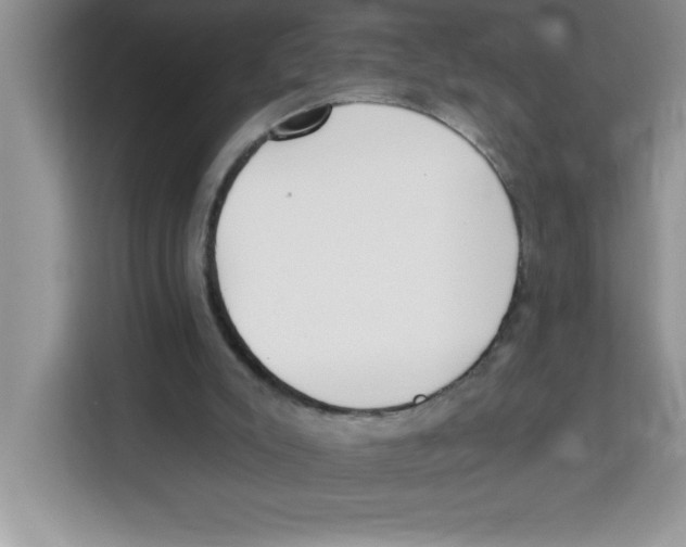 X0000113920007200910221403