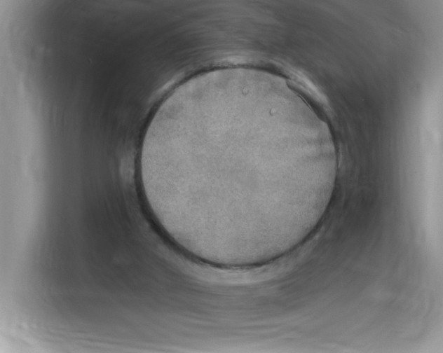X0000113920010200910221403