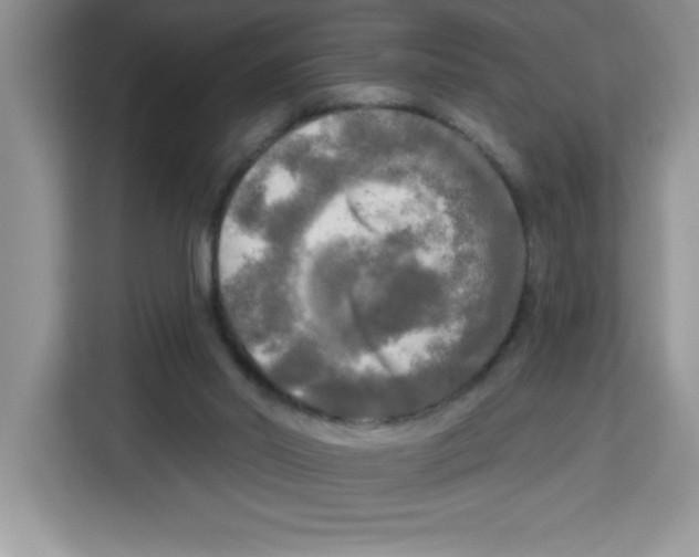 X0000113920014200910221403