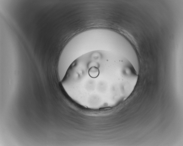 X0000113920017200910221403