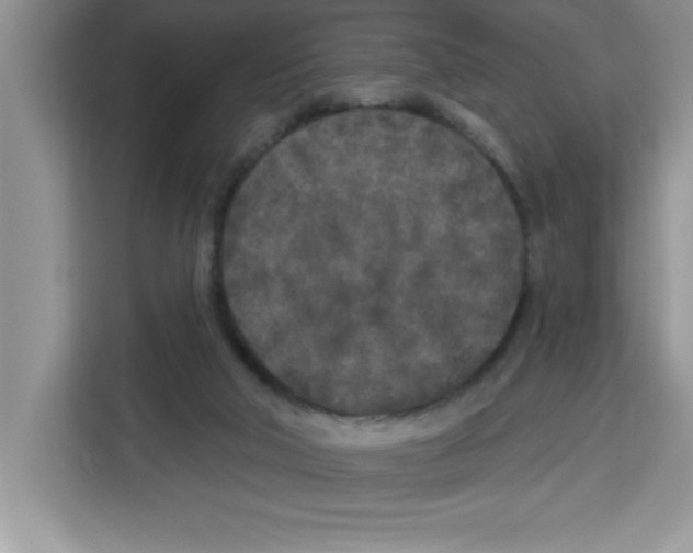 X0000113920018200910221403