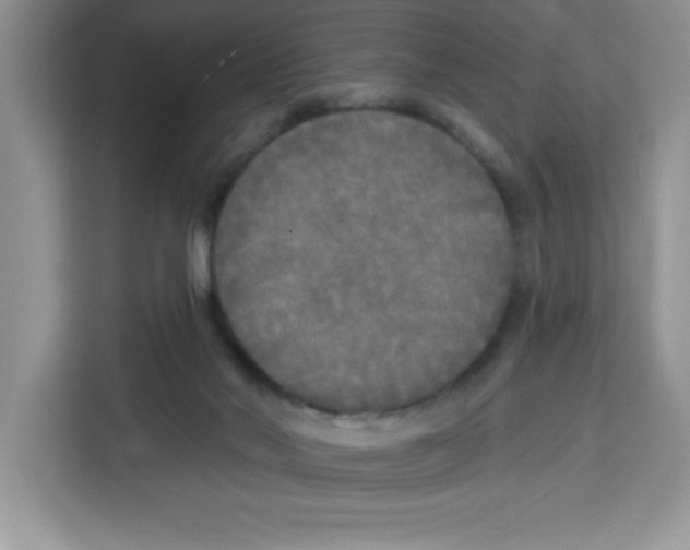 X0000113920022200910221403