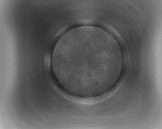 X0000113920024200910221403