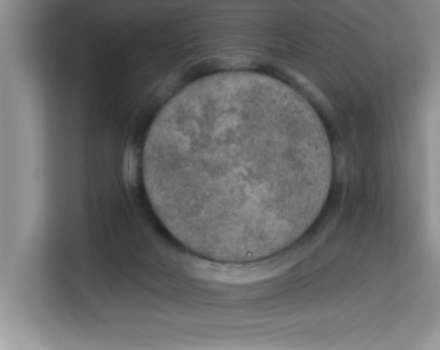 X0000113920026200910221403