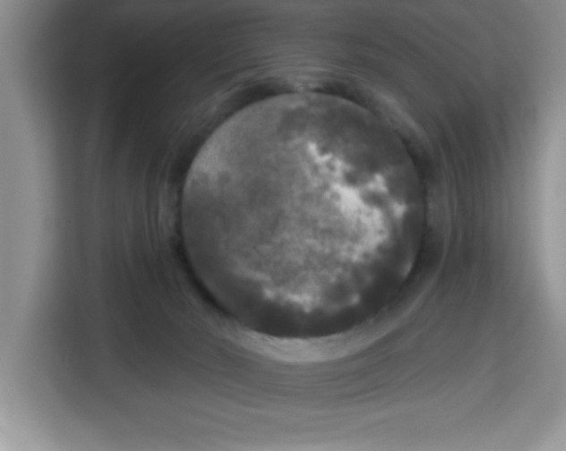 X0000113920030200910221403