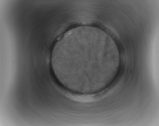 X0000113920032200910221403