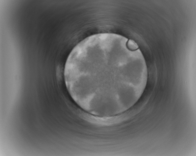 X0000113920038200910221402