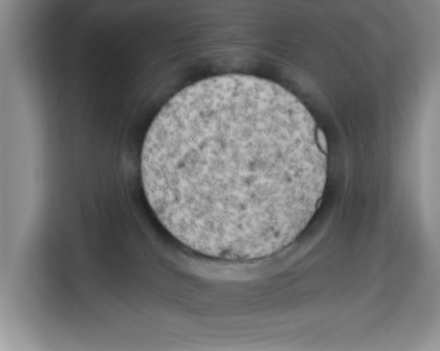 X0000113920040200910221402