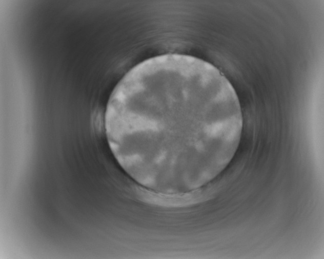 X0000113920042200910221402