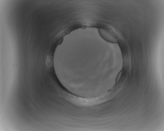 X0000113920043200910221402