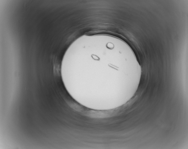 X0000113920045200910221402