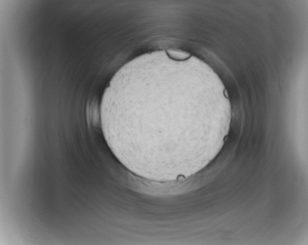 X0000113920046200910221402