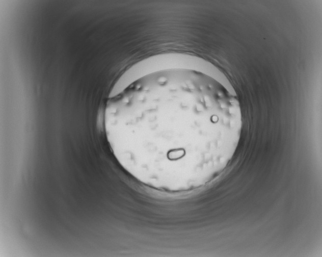 X0000113920047200910221402