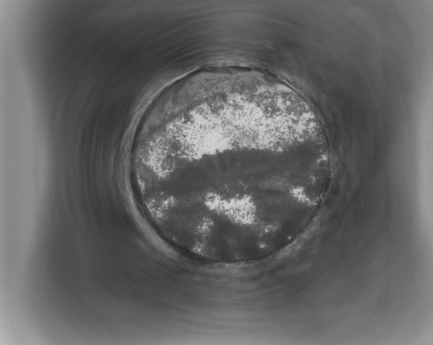 X0000113920049200910221402