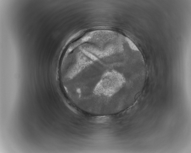 X0000113920050200910221402