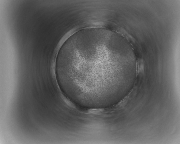 X0000113920051200910221402